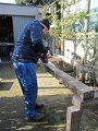 005 (11)